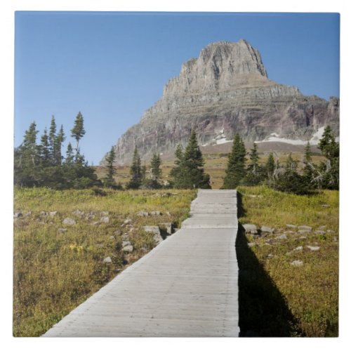 The pathway to the view of Hidden Lake Ceramic Tile