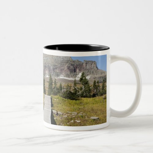 The pathway to the view of Hidden Lake Two_Tone Coffee Mug