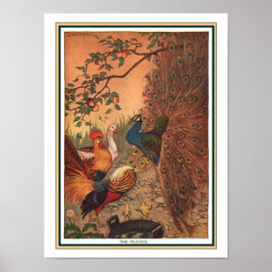 "The Peacock" Aesop Fable Print ca. 1919