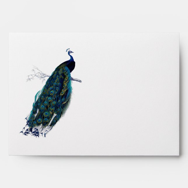 The Peacock Collection Envelope (Front)