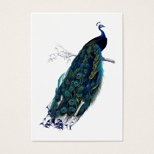 Customizable The Peacock Collection Gift Tag Business Cards