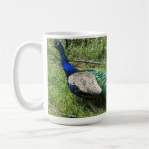 The Peacock Cup by Finca Garden