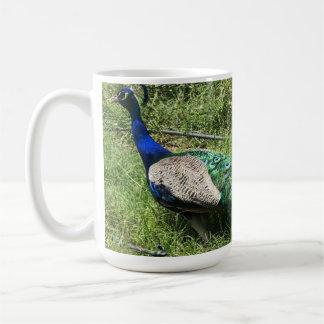 The Peacock Cup by Finca Garden