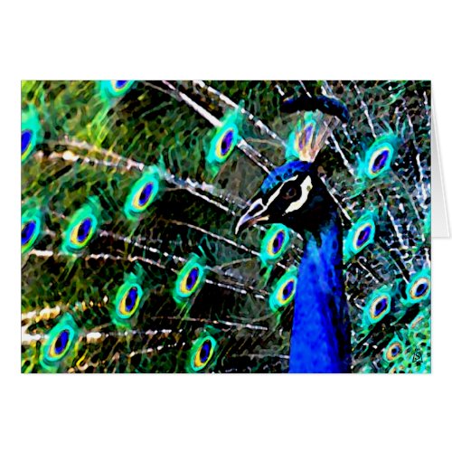 The Peacock _ Up Close and Personal