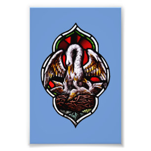 The Pelican as a Christian Symbol Photo Print