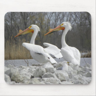 The Pelican Beak Mouse Pad