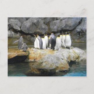 The Penguin Story Postcard