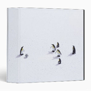 The penguins playing soccer 3 ring binder