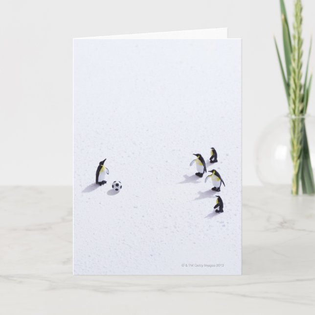 The penguins playing soccer card (Front)