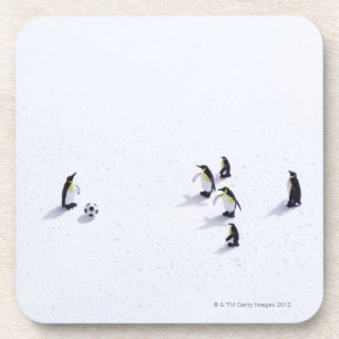 The penguins playing soccer drink coaster