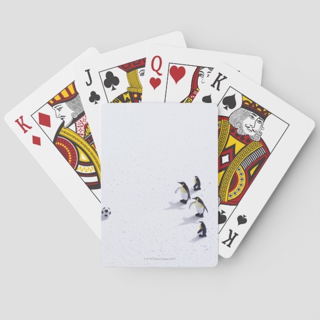 The penguins playing soccer poker cards (Back)