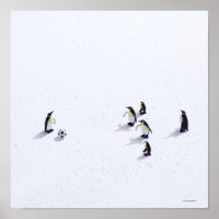 The penguins playing soccer