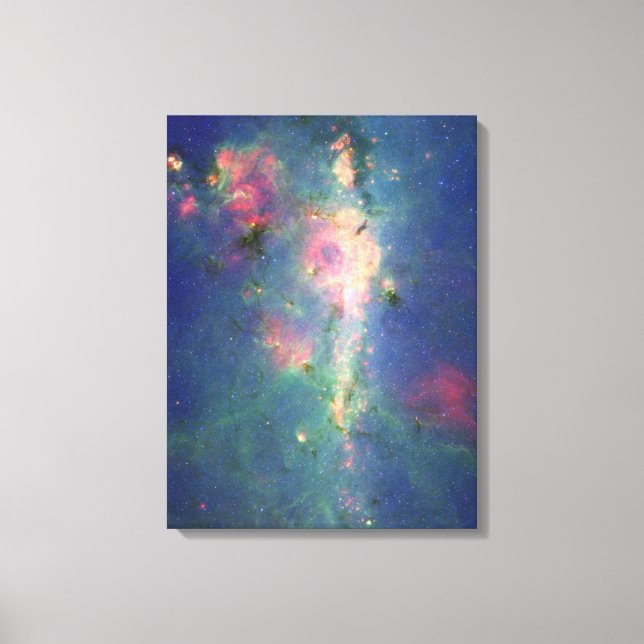 The Peony Nebula Canvas Print (Front)