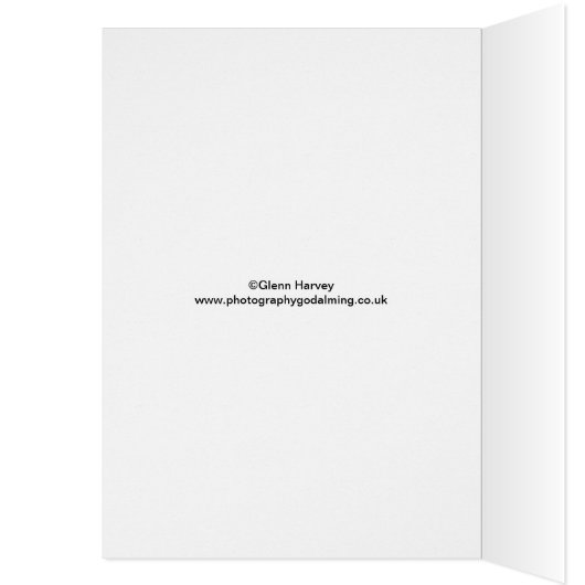 The Pepperpot Godalming Surrey (Inside (Left))