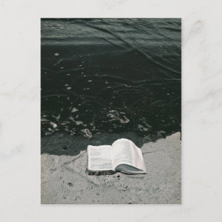 The Perfect Beach Read Postcard