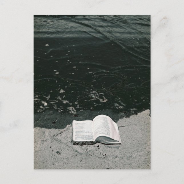 The Perfect Beach Read Postcard (Front)