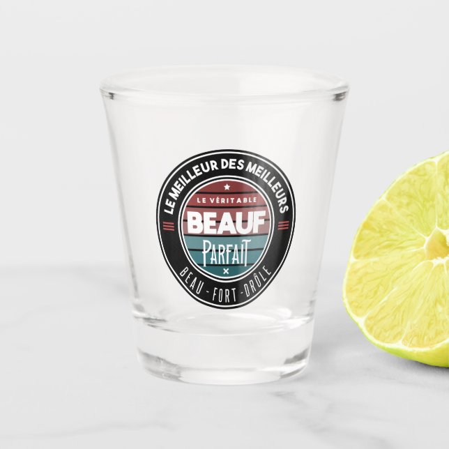 The perfect brother-in-law shot glass (Front)