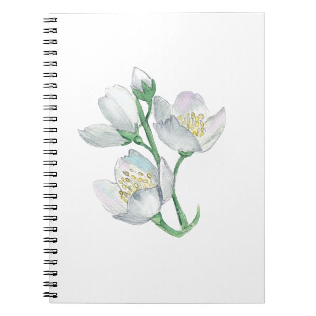 The Perfect Companion: Best Notebook for Every  (Front)