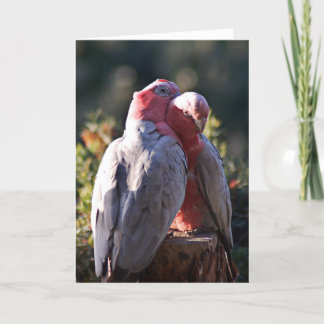 The Perfect Day - Valentine Holiday Card