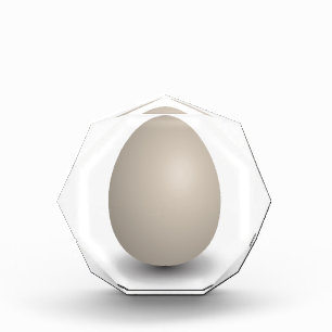 the perfect egg acrylic award