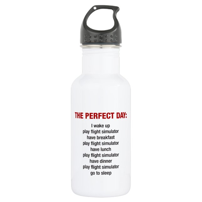 The Perfect Flight Simulator Day Stainless Steel Water Bottle (Front)