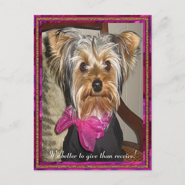 The Perfect Gift Postcard (Front)