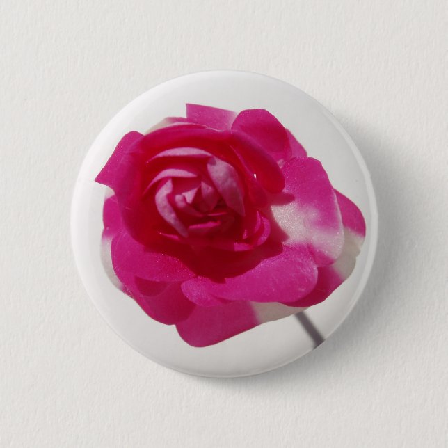 The Perfect Lapel Rose Pinback Button (Front)
