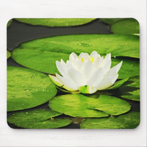 The Perfect Lily Pad Mouse Pad
