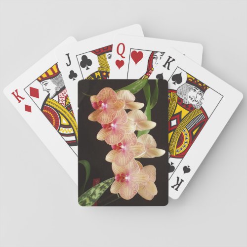 The Perfect Orchid Deck of Playing Cards