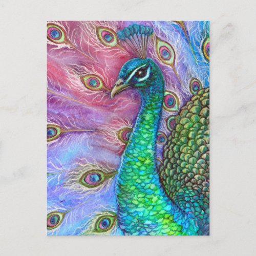 The Perfect Peacock Postcard