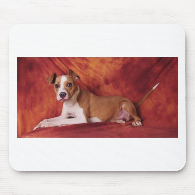 The perfect Pit Bull pose Mouse Pad (Front)