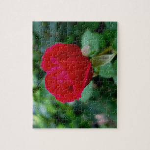 The Perfect Rose Puzzle