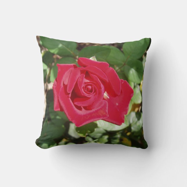 The Perfect Rose Throw Pillow (Front)