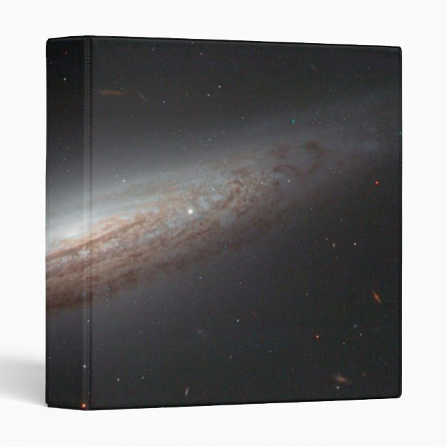 The Perfect Spiral 3 Ring Binder (Front/Spine)