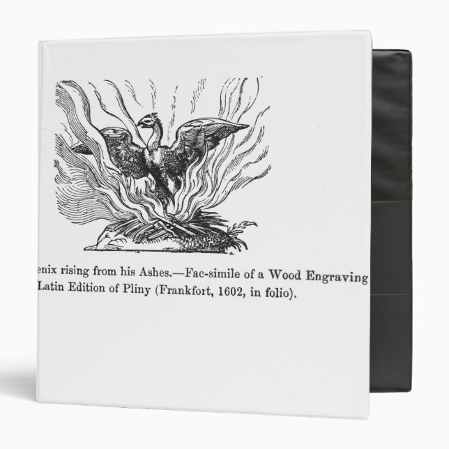 The Phoenix rising from his ashes Binder (Front/Inside)