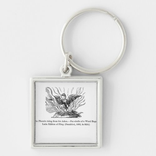 The Phoenix rising from his ashes Keychain