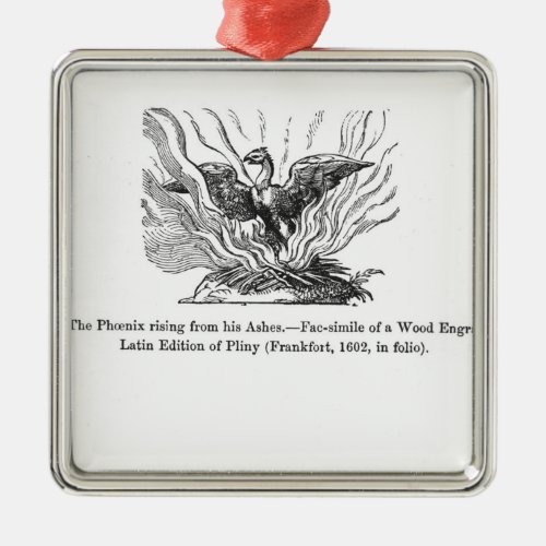 The Phoenix rising from his ashes Metal Ornament