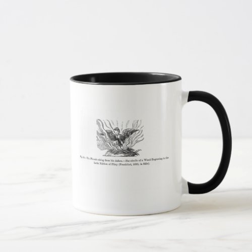 The Phoenix rising from his ashes Mug