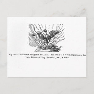 The Phoenix rising from his ashes Postcard
