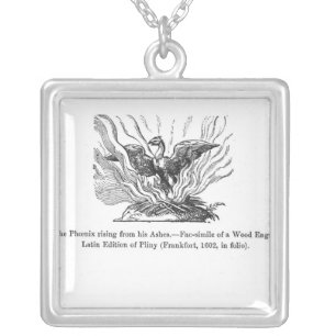 The Phoenix rising from his ashes Silver Plated Necklace
