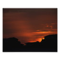 The Picture Maker - 8x10 Photo Print