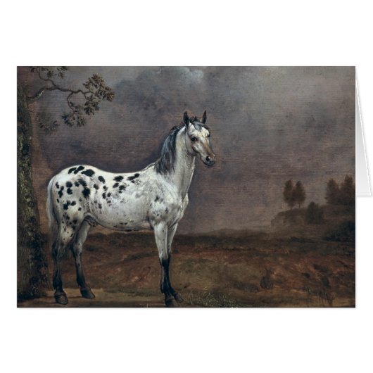 The Piebald Horse, 1653 Cards (Front Horizontal)