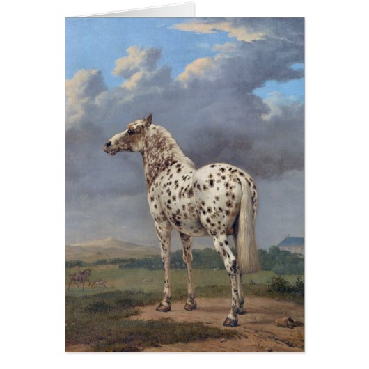 The Piebald Horse Cards (Front)