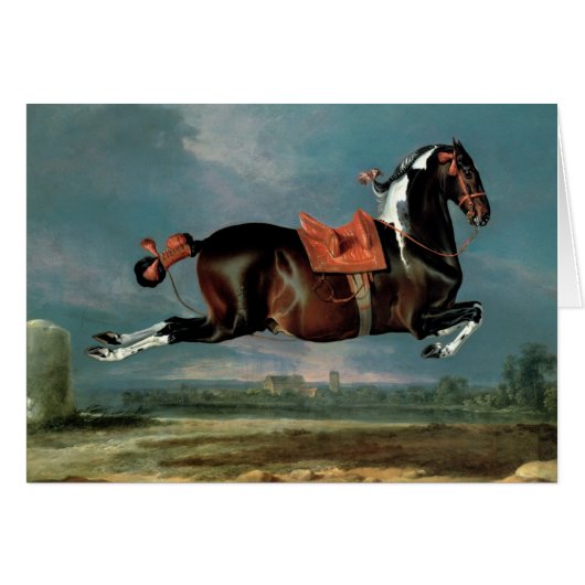 The piebald horse 'Cehero' rearing (Front Horizontal)