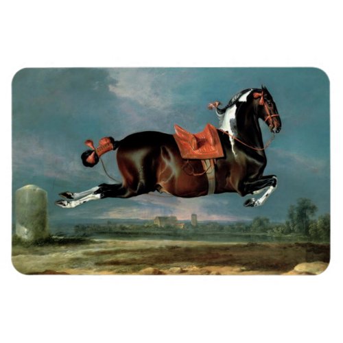 The Piebald Horse Cehero Rearing Monogram Magnet