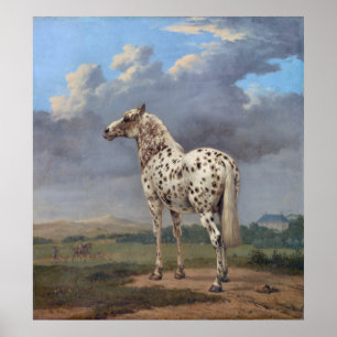 The Piebald Horse Poster