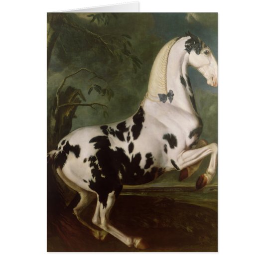 The Piebald Stallion at the Eisgruber Stud Cards (Front)
