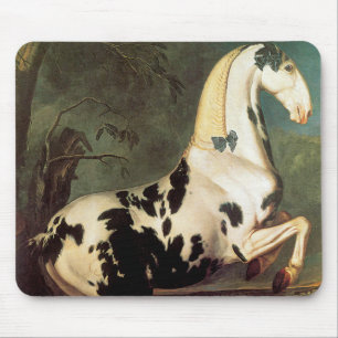 The Piebald Stallion at the Eisgruber Stud Mouse Pad