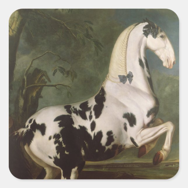 The Piebald Stallion at the Eisgruber Stud Square Sticker (Front)