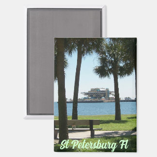 The Pier St Petersburg Florida Magnet